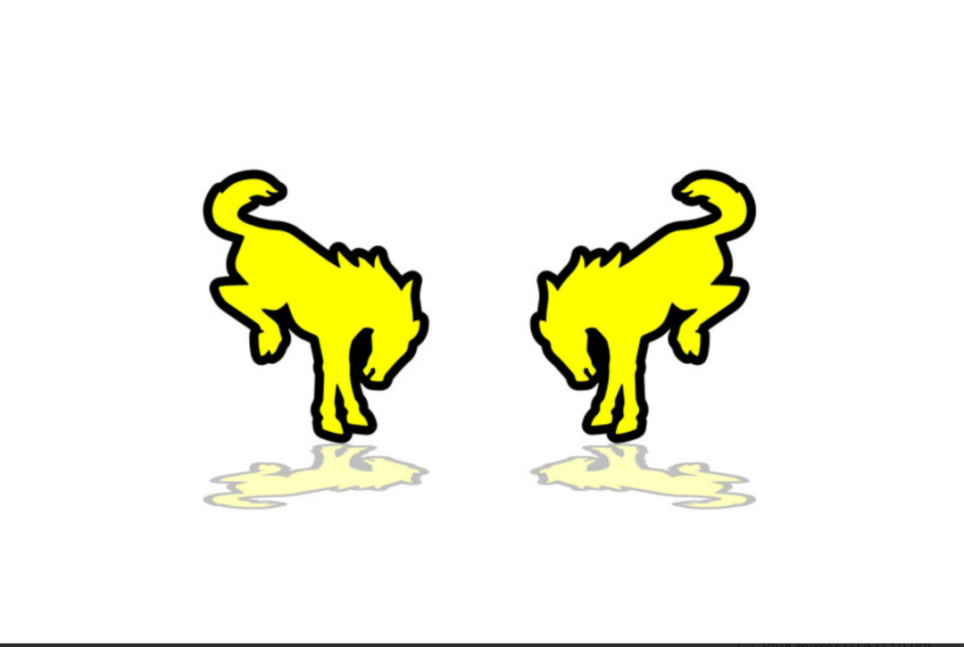 Ford Bronco Emblem & Badges set with Bronco logo (Type 4) Ford emblems decoinfabric BLACK YELLOW