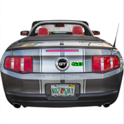 Ford Mustang V tailgate trunk rear emblem with 5.0 logo (type 3) Ford emblems decoinfabric