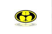 Batman tailgate trunk rear emblem with Batman logo (type 2) Custom Rear Emblem decoinfabric