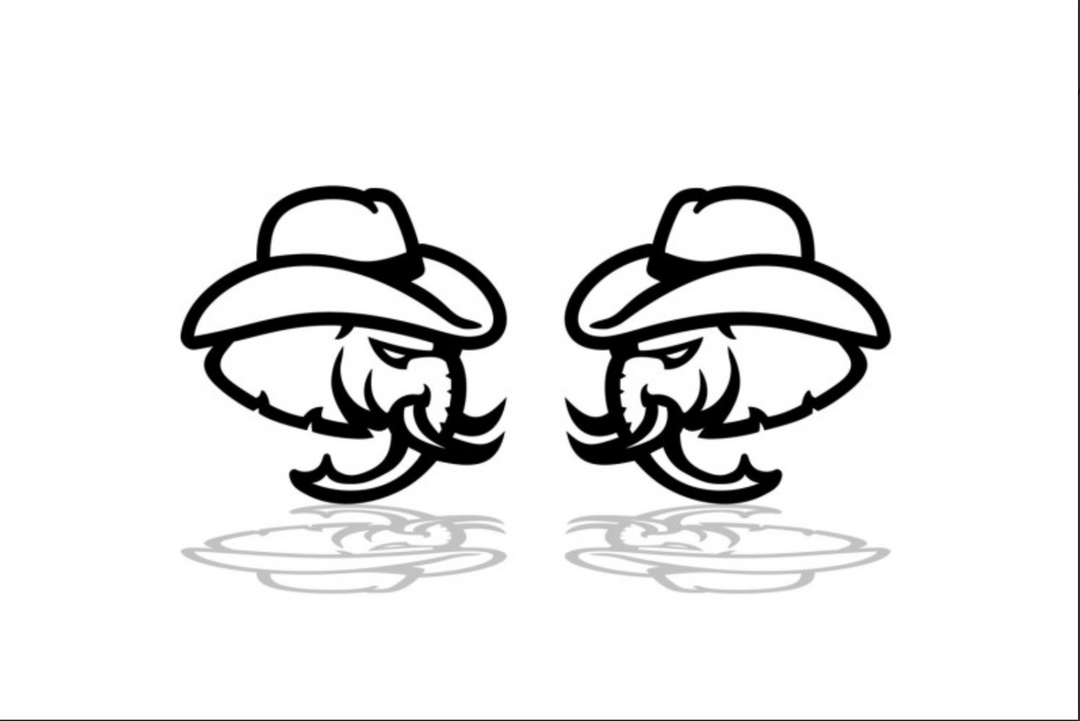 Dodge emblem for fenders with Hellephant Cowboy logo Dodge emblems decoinfabric