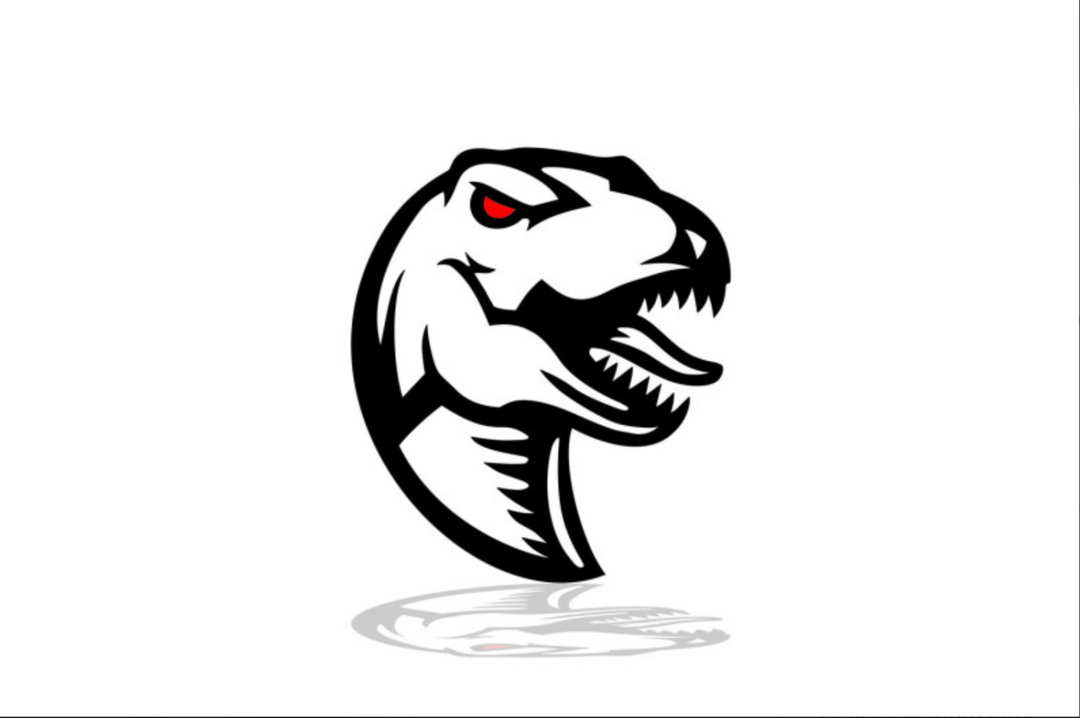 Ford tailgate trunk rear emblem with Raptor logo (Type 2) Ford emblems decoinfabric