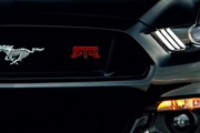 Ford Radiator grille emblem with RTR Blood logo Ford emblems decoinfabric