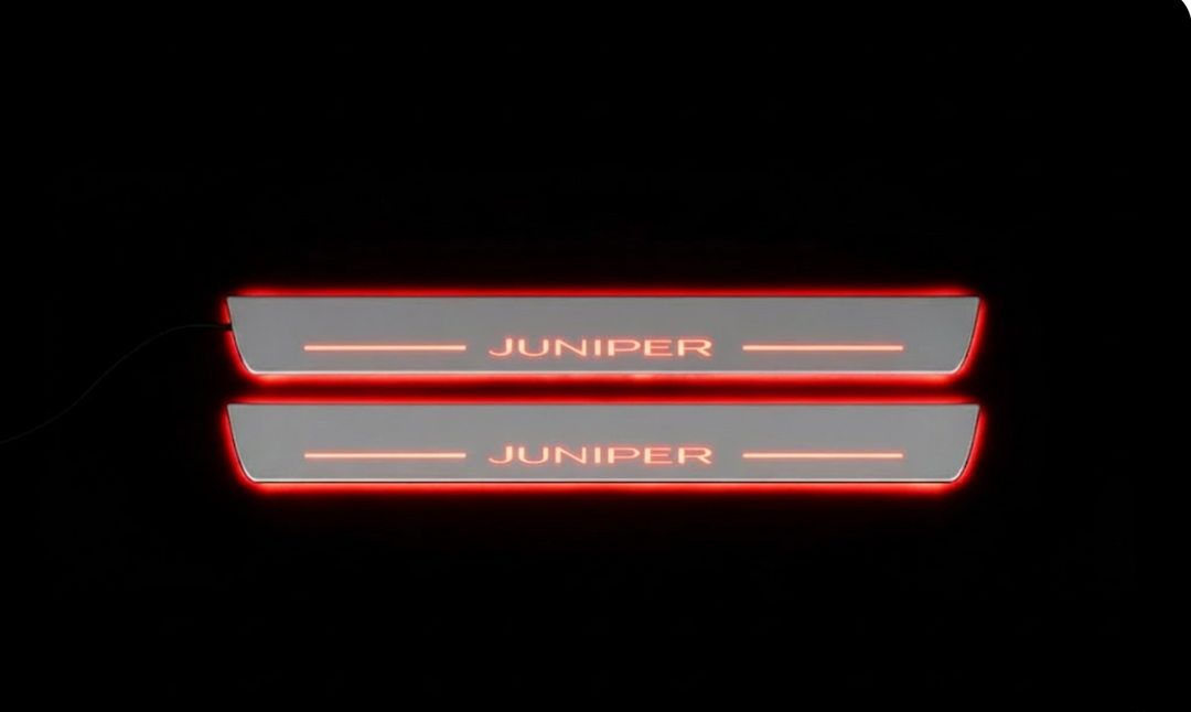 Tesla Model Y Juniper 2025+ LED Door Sills PRO With Logo Juniper