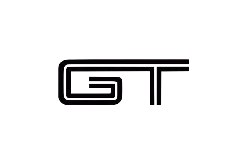 Ford Mustang Emblem & Badges set with GT logo (Type 2) Ford emblems decoinfabric BLACK WHITE