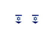 Emblem (badges) for fenders with Israel logo Custom design emblems decoinfabric