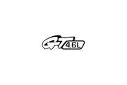 Ford Mustang Radiator grille emblem with GT 4.6L logo Ford emblems decoinfabric BLACK WHITE