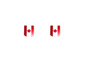 Emblem (badges) for fenders with Canada logo Custom design emblems decoinfabric