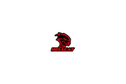 DODGE Radiator grille emblem with Hellcat + text Hellcat logo Dodge emblems decoinfabric