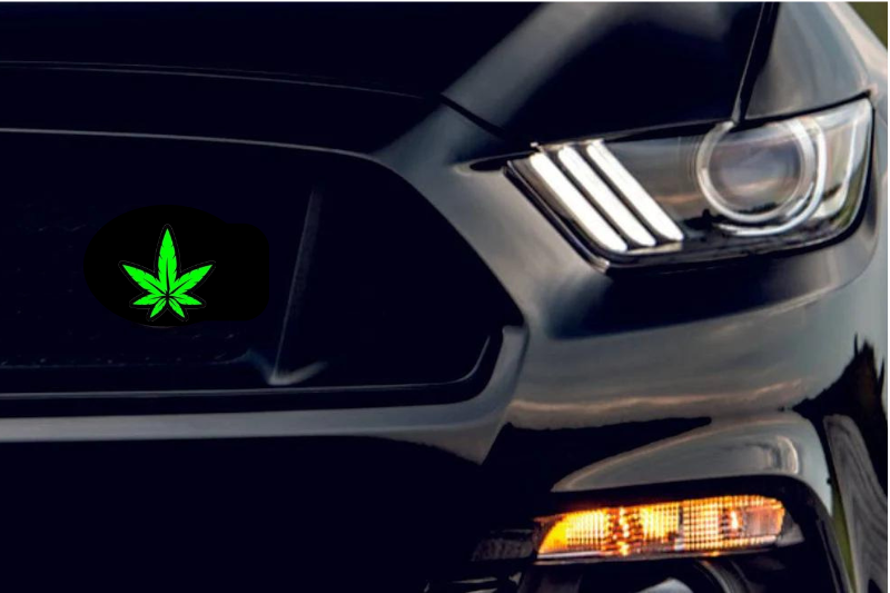 Radiator grille emblem with Cannabis logo