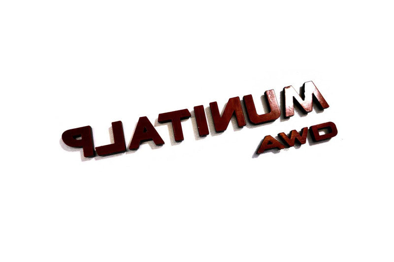 Nissan tailgate trunk rear 3D emblem with Platinum awd logo (Type MIXT) Nissan emblems decoinfabric