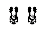 DODGE emblem for fenders with Cummins Skull logo Dodge emblems decoinfabric BLACK WHITE