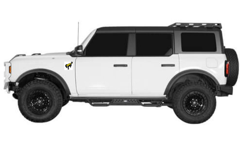 Ford Bronco emblem for fenders with Bronco logo (Type 3) Ford emblems decoinfabric