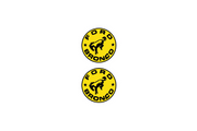 Ford Bronco Emblem & Badge Set - Grille and Tailgate Bronco logo (Type 2) Ford emblems decoinfabric YELLOW