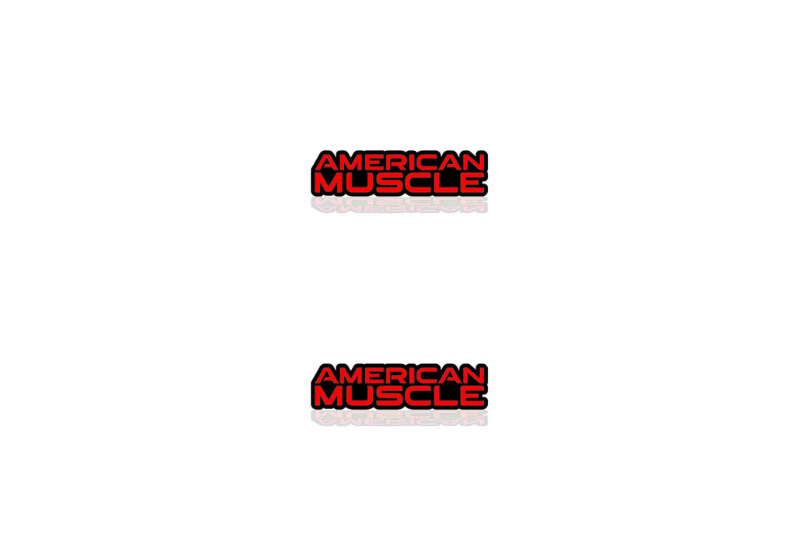 Chrysler Emblem & Badge Set - Grille and Tailgate American Muscle logo