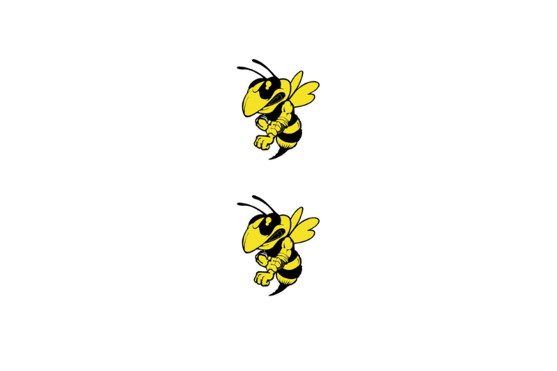 Dodge Emblem & Badge Set - Grille and Tailgate murdeR horneT logo (Type 4) Dodge emblems decoinfabric YELLOW