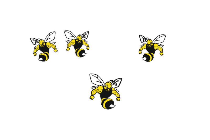 Dodge Emblem & Badges set with Super Bee logo Dodge emblems decoinfabric