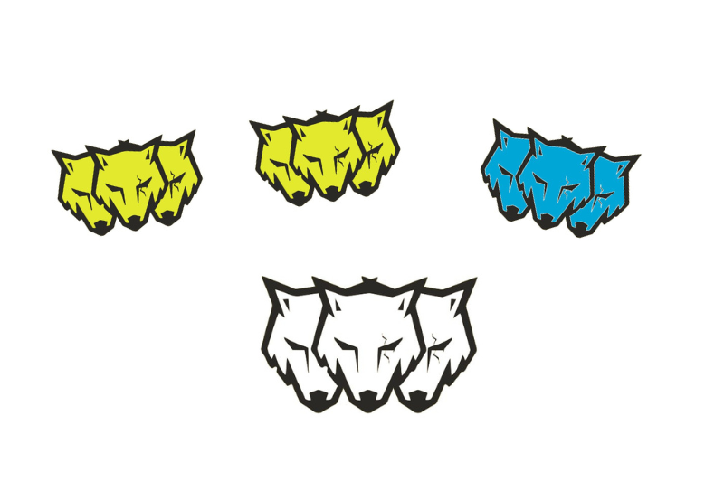 Ford Mustang Emblem & Badges set with Coyote logo (type 13) Ford emblems decoinfabric