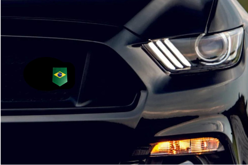Radiator grille emblem with Brasil logo Custom design emblems decoinfabric