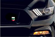 Radiator grille emblem with Bulgaria logo Custom design emblems decoinfabric