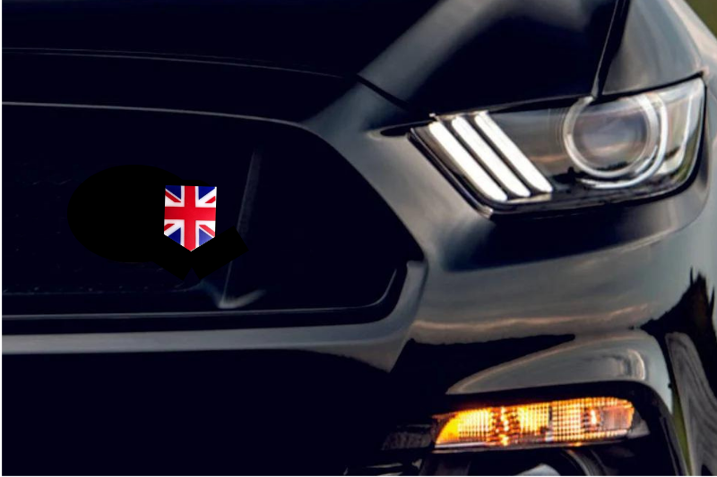 Radiator grille emblem with Great Britain logo