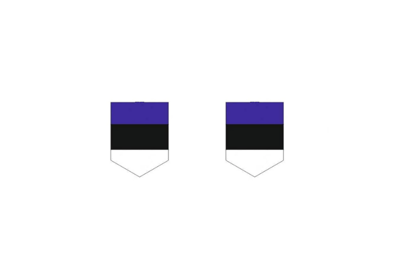 Emblem (badges) for fenders with Estonia logo Custom design emblems decoinfabric