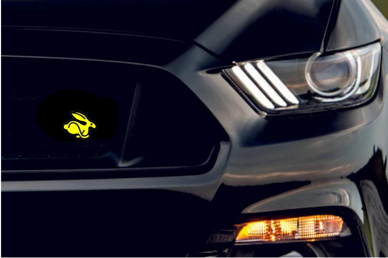 Volkswagen Radiator grille emblem with Rabbit logo Volkswagen emblems decoinfabric