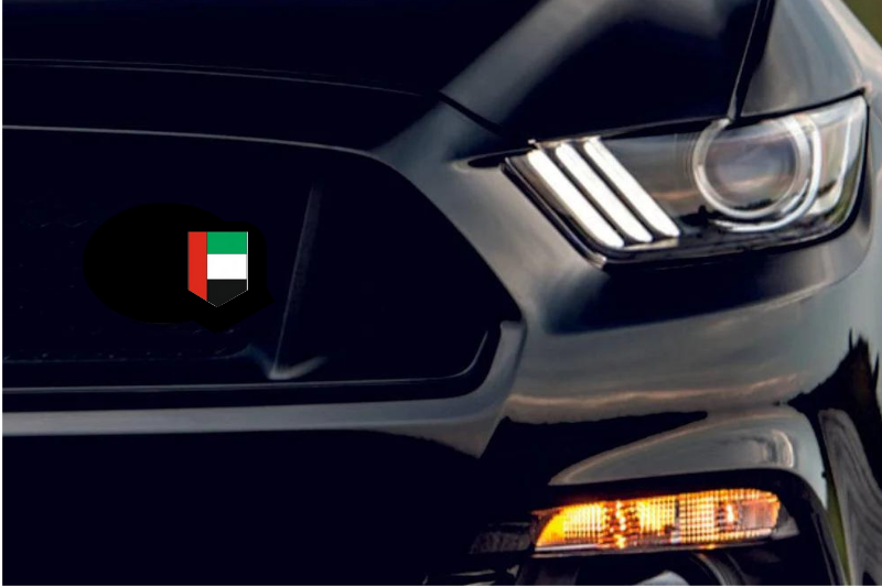 Radiator grille emblem with UAE logo