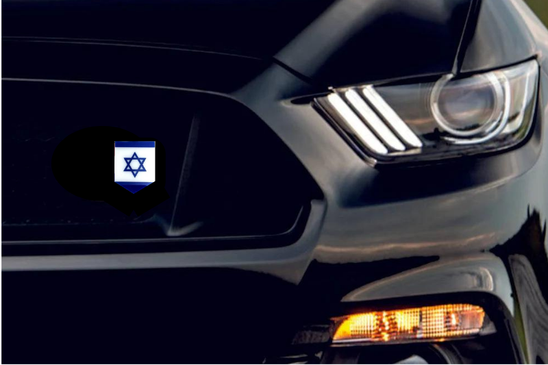 Radiator grille emblem with Israel logo Custom design emblems decoinfabric