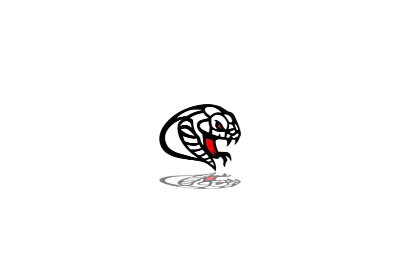 Radiator grille emblem with Snake logo Custom design emblems decoinfabric