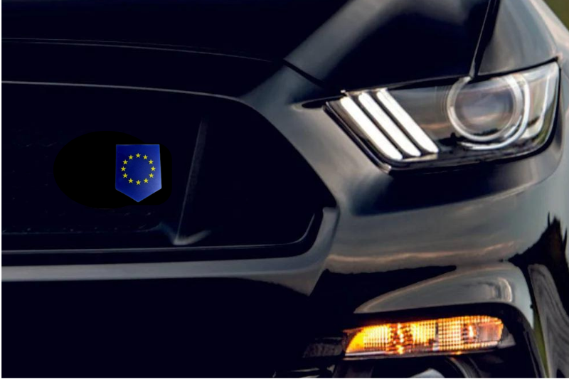 Radiator grille emblem with European Union logo