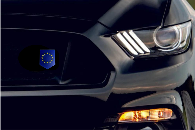 Radiator grille emblem with European Union logo Custom design emblems decoinfabric