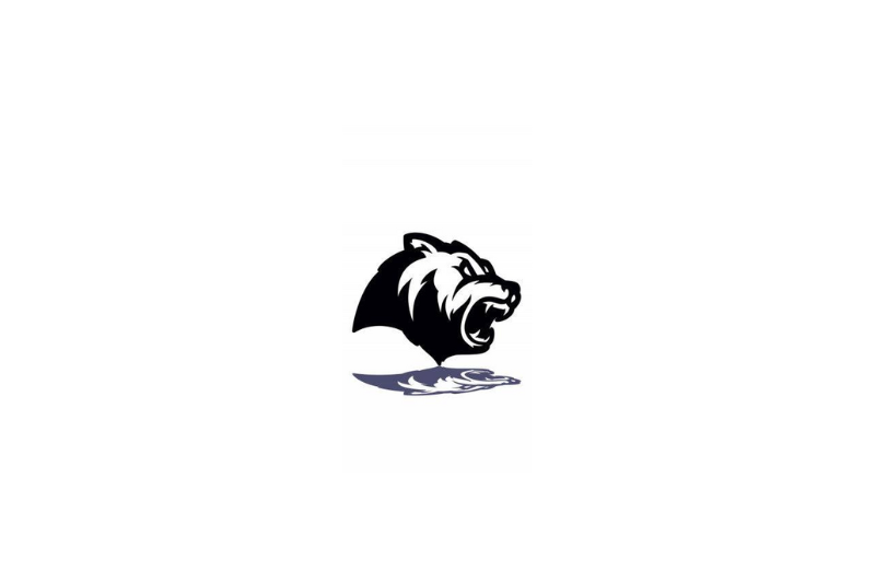 Radiator grille emblem with Bear logo Custom design emblems decoinfabric