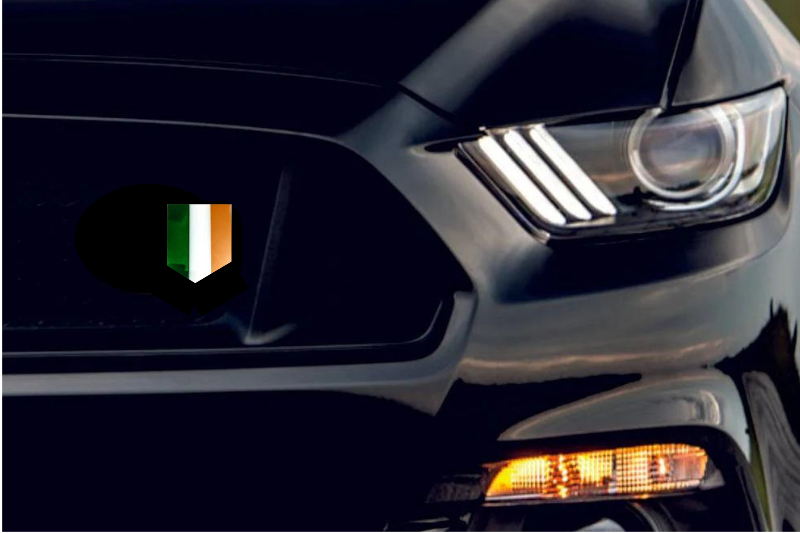 Radiator grille emblem with Ireland logo Custom design emblems decoinfabric