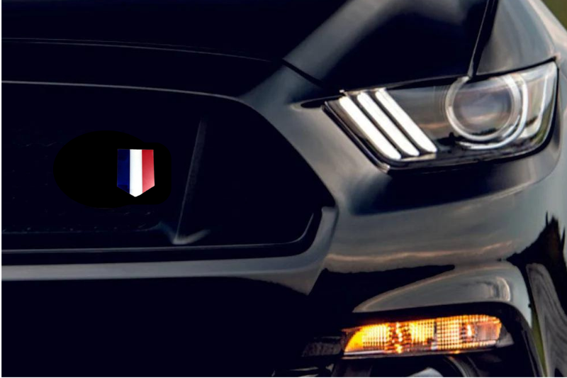 Radiator grille emblem with France logo Custom design emblems decoinfabric