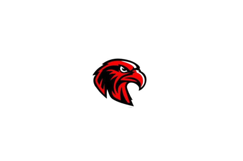 Radiator grille emblem with Hawk logo Custom design emblems decoinfabric