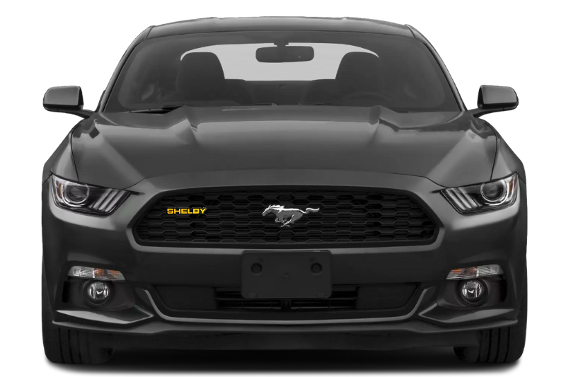 Ford Emblem & Badge Set - Grille and Tailgate Shelby logo Ford emblems decoinfabric YELLOW