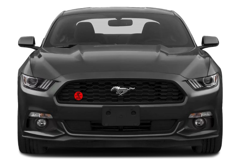 Ford Mustang Emblem & Badge Set - Grille and Tailgate Snake Shelby logo (Type 2) Ford emblems decoinfabric