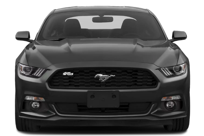 Ford Emblem & Badges set with GT 4.6L logo Ford emblems decoinfabric
