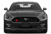 Ford Mustang Radiator grille emblem with Snake Shelby logo (Type 2) Ford emblems decoinfabric