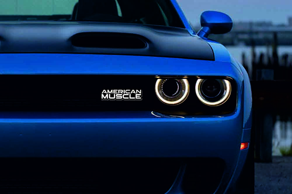 Dodge Emblem & Badge Set - Grille and Tailgate American Muscle logo Dodge emblems decoinfabric WHITE