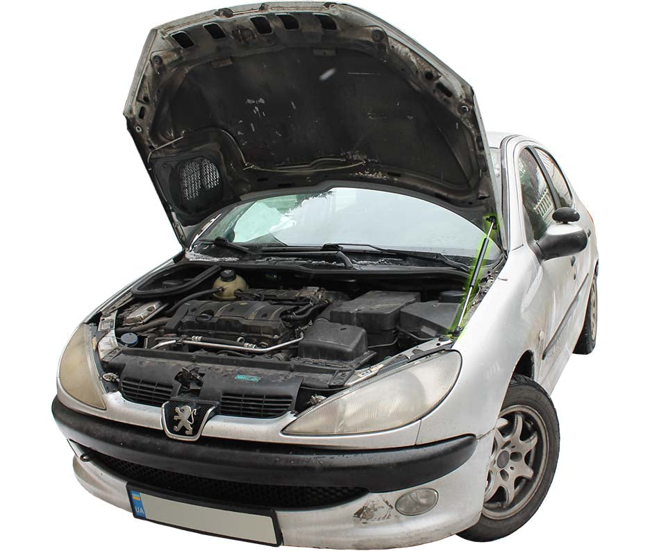 Hood strut kit installed on the Peugeot 206 (T1)