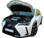 Bild in die Galerieansicht laden, Hood strut kit installed on the Lexus UX (ZA10)