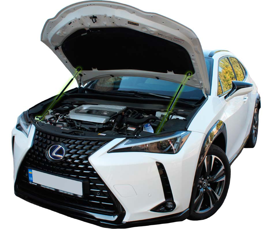 Hood strut kit installed on the Lexus UX (ZA10)