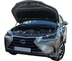 Bild in die Galerieansicht laden, Hood strut kit installed on the Lexus NX 1st Gen (AZ10)