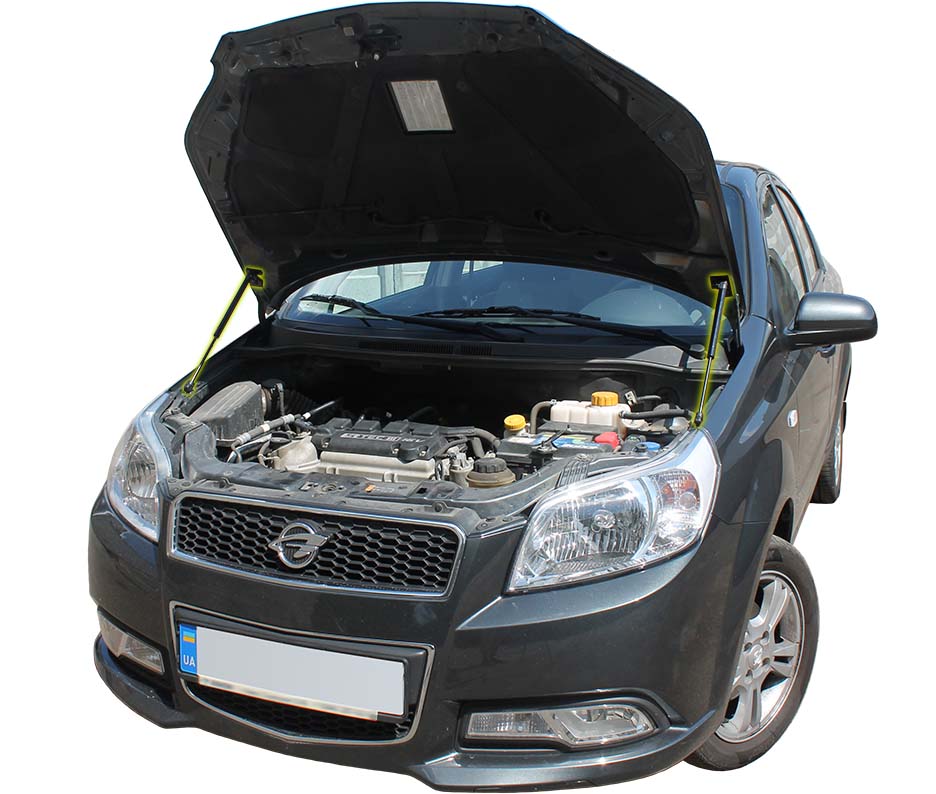 Hood strut kit installed on the Chevrolet Aveo 1st Gen Hatchback (T255)