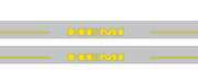 Dodge Challenger 2008+ LED Door Sills PRO With HEMI Logo (type 2) Dodge Led Door Sills opdesign