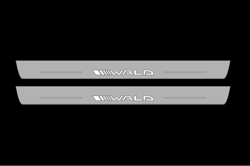Mercedes CLS-Class II (C218) 2010-2018 Auto Door Sill Plates With Logo Wald Mercedes Led Door Sills opdesign
