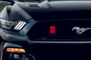 Ford Illuminated LED Radiator Grille Emblems and Badges with Coyote (type 1) logo Ford Led Emblems decoinfabric