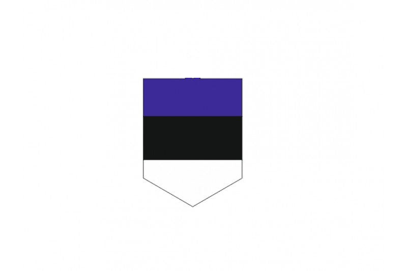 Car emblem badge with flag of Estonia - decoinfabric