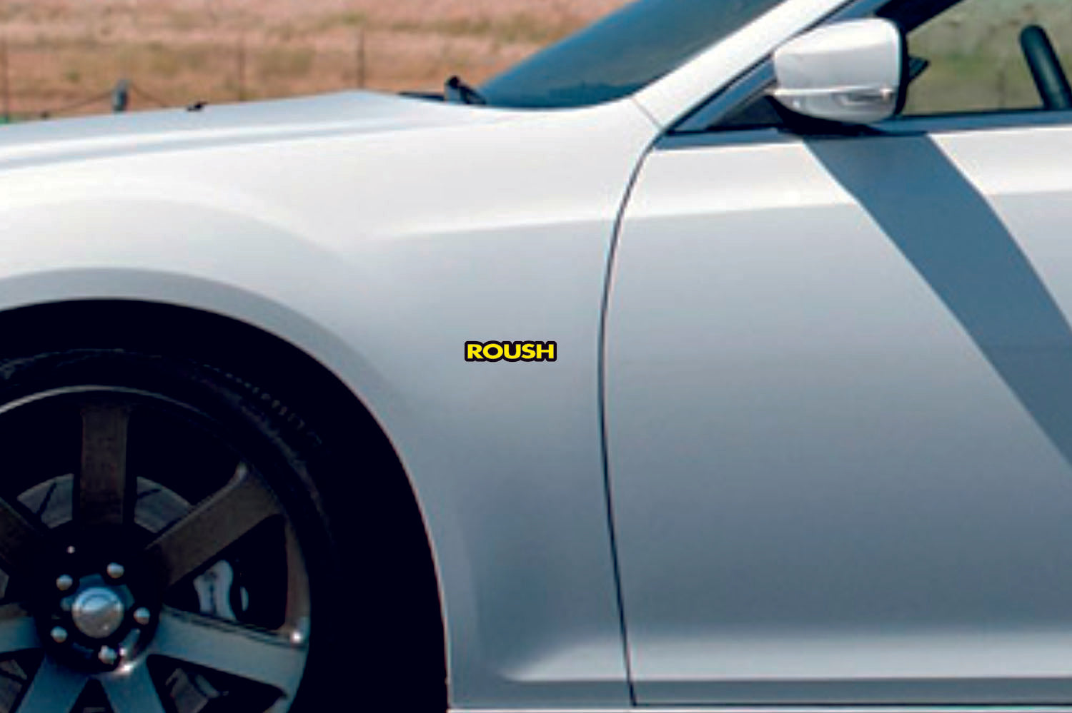 Ford emblem for fenders with Roush logo Ford emblems decoinfabric